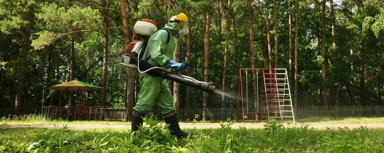 уничтожение клещей в Самаре Уничтожение клещей, обработка от клещей
